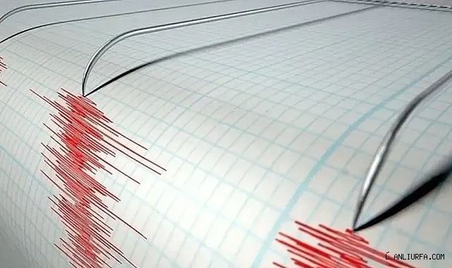 Muğla'da korkutan deprem!