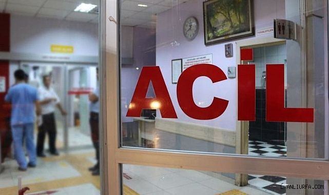 Şanlıurfa'da otomobil takla attı
