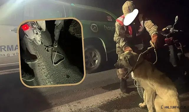 Şanlıurfa'da 'vicdan kalmamış' dedirten olay!