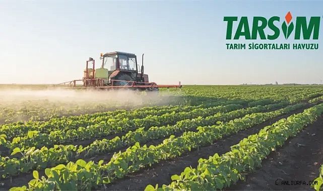 TARSİM açıklaması! Ne kadar ödendi?