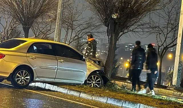 Urfa'da maddi hasarlı kaza! Refüjdeki ağaca çarptı!