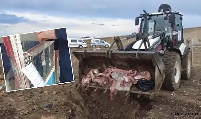 Urfa'da şok denetim! 400 kilogram bozuk ve kokmuş ete el konuldu!