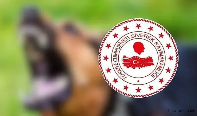 Urfa'daki kuduz vakası ile ilgili yeni gelişme!