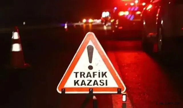 Urfalı şoför Mersin'deki kazada hayatını kaybetti!