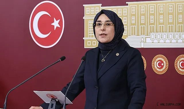 Milletvekili Yazmacı: