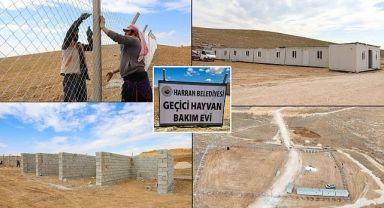 Harran Belediyesi Hayvan Bakım Evi Ve Doğal Yaşam Alanı İnşa Ediyor