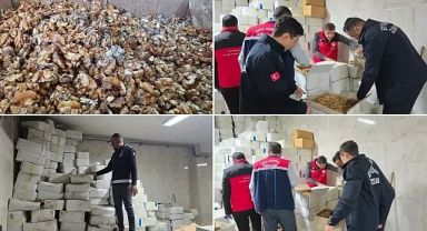 Şanlıurfa'da Tonlarca Bozuk Ceviz Ele Geçirildi