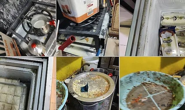 Urfa'da mide bulandıran görüntü! Ceza kesildi!