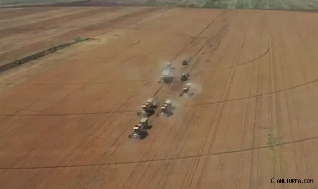 Dünyanın tek parçadaki en büyük tarımsal alanı! Şanlıurfa'daki çiftlikte hasat başladı!