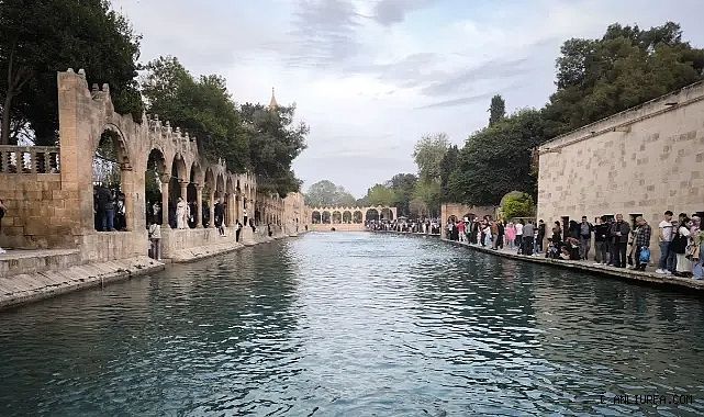 Harekete geçildi! Balıklıgöl'de ceza yağdı!
