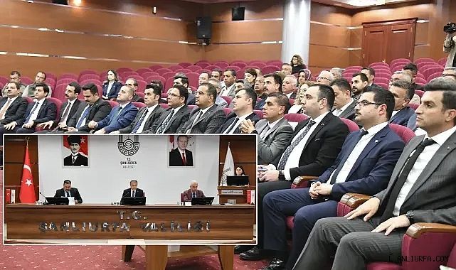 Kurul toplandı! Şanlıurfa'daki sokak hayvanları için önemli kararlar alındı!