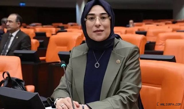 Şanlıurfa Milletvekili Yazmacı 'ya yeni görev
