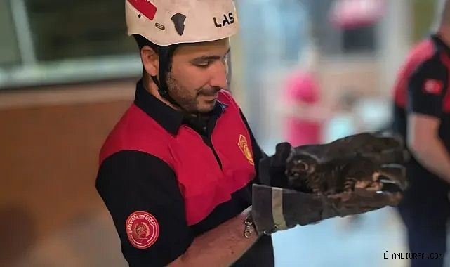 Urfa'da ekipler harekete geçti!