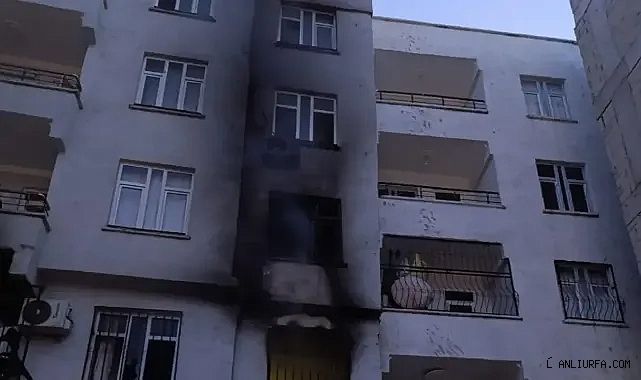 Urfa'da korku dolu anlar!
