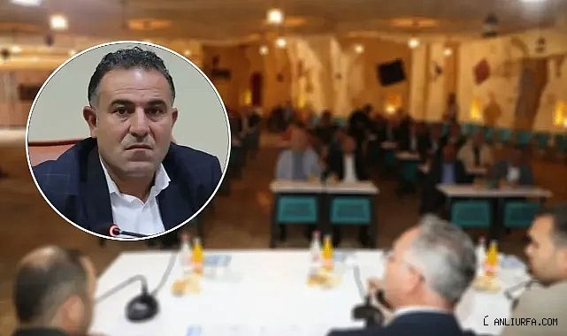 Urfa'daki fake hesap ve trollere sitem etti! Tekatlı, mal varlığının araştırılmasını istedi!