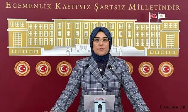 Vekil Yazmacı: Cumhurbaşkanımız cunta meraklıların pabuç bırakmadı