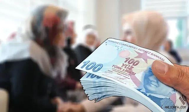 Yaşlı Destek Programı başvuruları başladı!