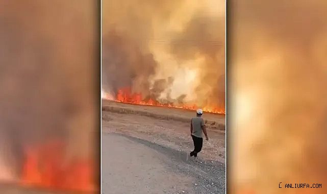 Alev alev yandı! Urfa'da korku dolu anlar!