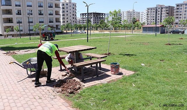 Haliliye'de Parklar İçin Tasarruflu Üretim Modeli