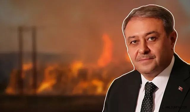 Şanlıurfa'da yangınlar alarm verdi! Vali Şıldak'tan uyarı