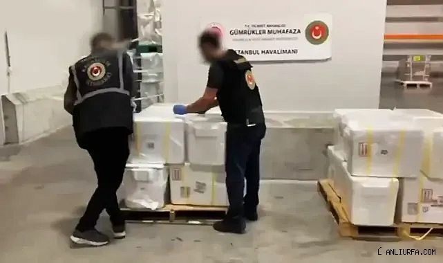 Tam 35,5 milyar TL'lik kaçak eşya ele geçirildi!