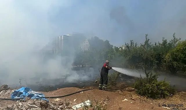 Urfa'da yangın paniği!