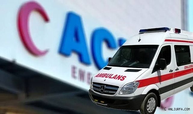 Yaralılar var! Urfa'da şarampole devrildi!