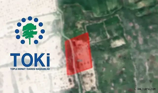 TOKİ Urfa'da açık artırmayla satacak!