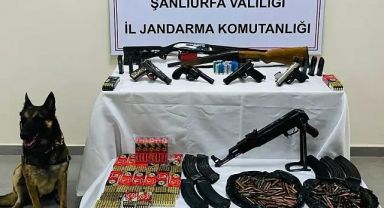 Cephane gibi! Şanlıurfa'da ele geçirildi