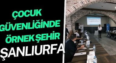 Çocuk Güvenliğinde Şanlıurfa'daki Çalışmalar Çevre İllere Rol Model Oluyor