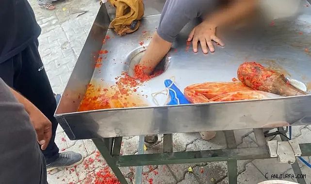 Şanlıurfa'da genç kız elini salça makinesine kaptırdı!