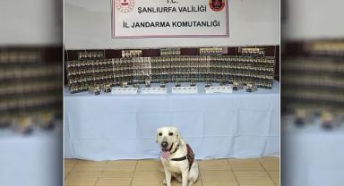 Urfa'da binlerce paket ele geçirildi!