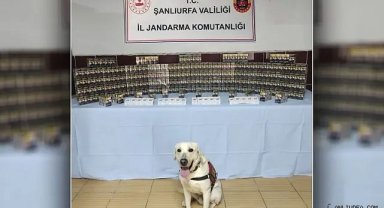 Urfa'da binlerce paket ele geçirildi!