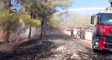 Urfa'da korku dolu anlar!
