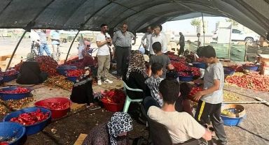 Urfa'da yüzlerce kişi bu işle uğraşıyor! Ekipler tek tek anlattı