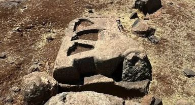 Vali Şıldak paylaştı! Şanlıurfa'daki aslan rölyefi dikkat çekiyor!