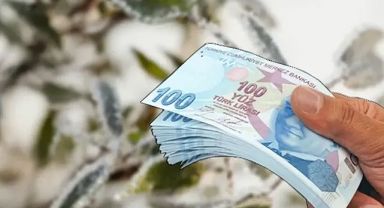 Zirai dondan etkilenen çiftçilere müjde!