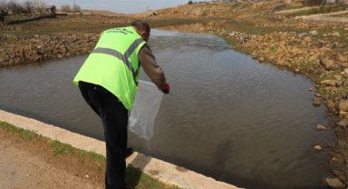 Viranşehir'de Dere Yataklarında Larva Mücadelesi Sürüyor