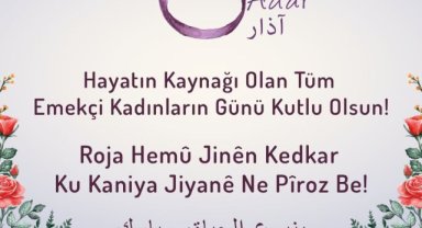 8 Mart Dünya Kadınlar Günü Viranşehir'de Kutlandı