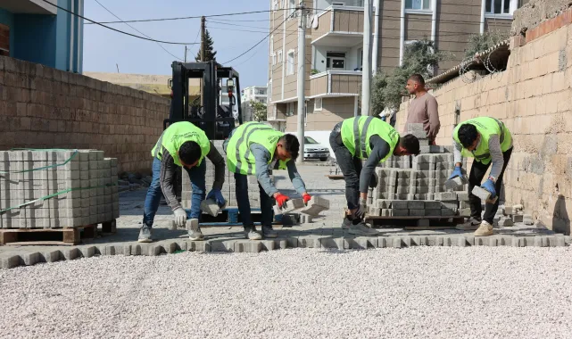 Ceylanpınar'da Cumhuriyet Mahallesi Yol Çalışmaları Yeniden Başladı