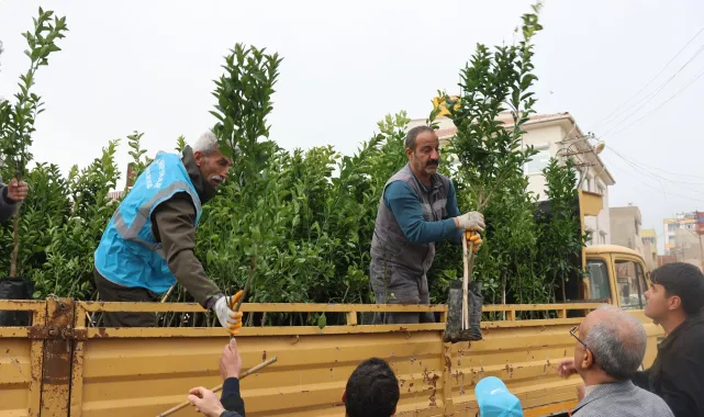 Ceylanpınar'da Meyve Fidanı Dağıtımı: Ekolojik Belediyecilik Vizyonu Sürüyor