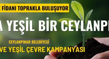 Ceylanpınar'da Yeşil Çevre Kampanyası Ağaçlandırma Çalışmalarıyla Devam Ediyor