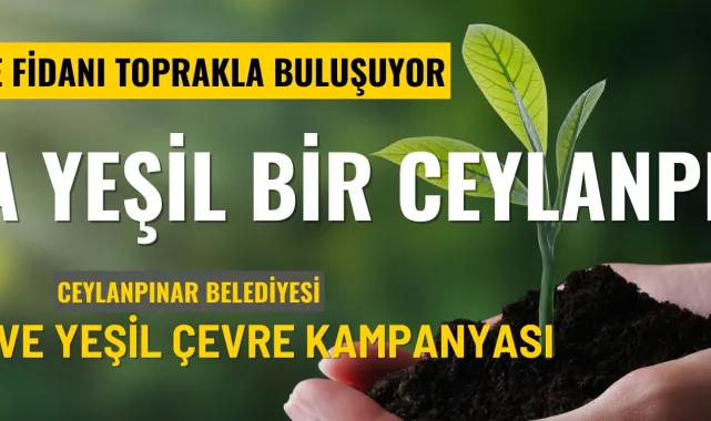 Ceylanpınar'da Yeşil Çevre Kampanyası Ağaçlandırma Çalışmalarıyla Devam Ediyor