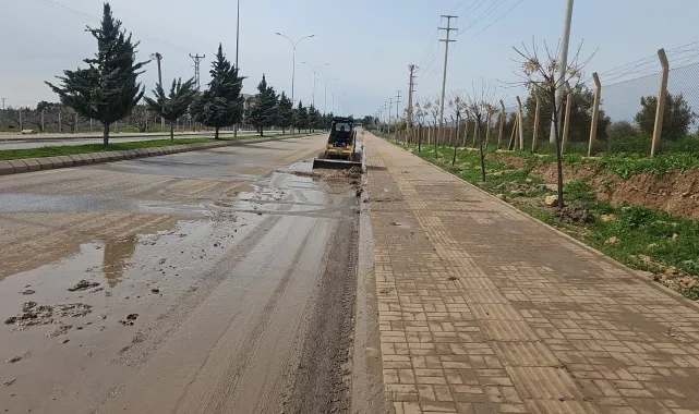 Ceylanpınar'da Yoğun Yağışların Ardından Fen İşleri Kapsamlı Çalışma Başlattı