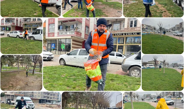 Eyyübiye'de Park ve Yeşil Alanlarda Kapsamlı Bakım Çalışmaları