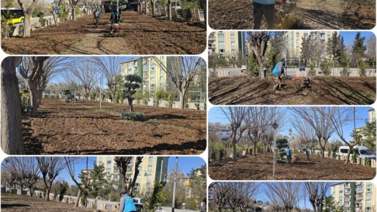 Eyyübiye'de Parklar İlkbahara Hazırlanıyor
