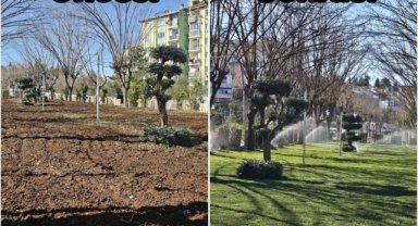 Eyyübiye'de Parklar Yeniden Yeşeriyor: Çim Serim Çalışmaları Devam Ediyor
