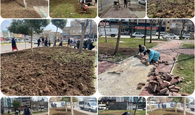Eyyübiye'de Parklara İlkbahar Bakımı Başladı