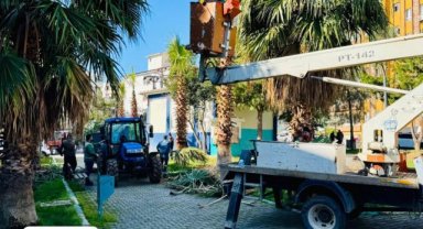 Haliliye'de Daha Yeşil Bir Gelecek İçin Budama Çalışmaları Devam Ediyor