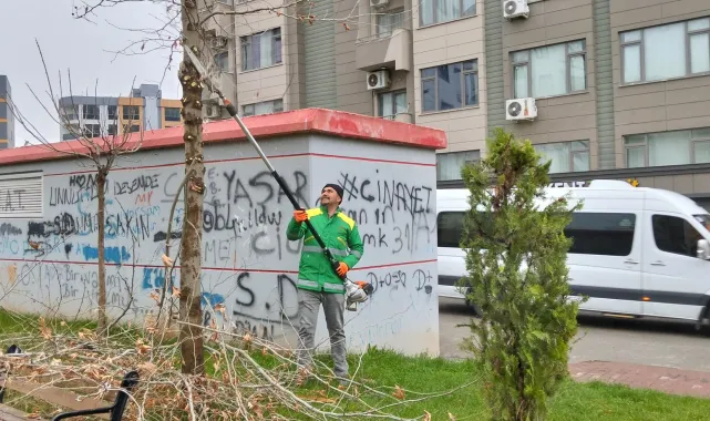 Karaköprü'de Yağış Sonrası Park ve Bahçelerde Budama Çalışmaları Başladı